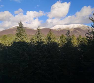 Offerta Vacanze Residence a Pescasseroli (L'Aquila)