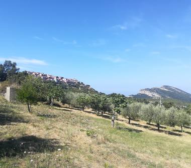 Terreno Edificabile Commerciale in vendita a Trentinara (Salerno), Contrada Creta Rossa 1