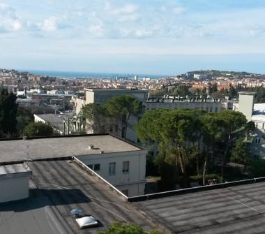 Quadrilocale in affitto a Ancona (Ancona)
