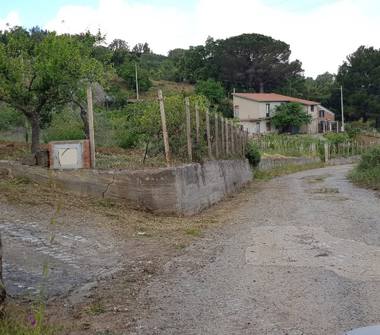 Terreno Agricolo/Coltura in vendita a Pollina, Frazione Finale, Contrada Tre Rocche 0