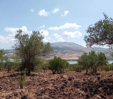 Terreno Edificabile Commerciale in vendita a Trabia (Palermo)