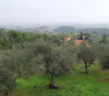 Rustico/Casale in vendita a Vicopisano (Pisa)