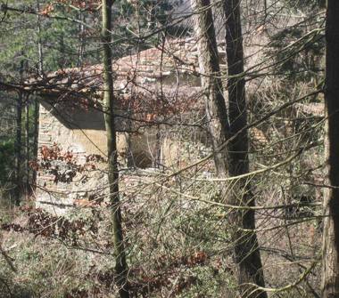 Rustico/Casale in vendita a Fiesole, Frazione Olmo