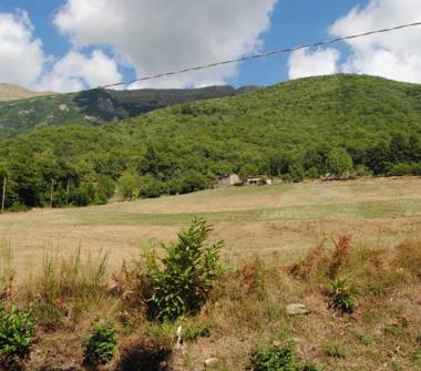 Rustico/Casale in vendita a Coreglia Antelminelli (Lucca), Località Scopaio-Debba 3