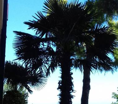 Appartamento in vendita a Mosciano Sant'Angelo (Teramo), Contrada Colle Imperatore 9 a