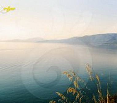 Offerta Vacanze Residence a Centola, Frazione Palinuro