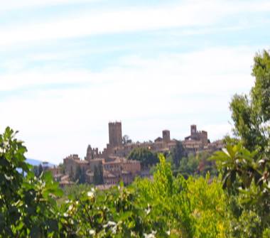 Altro in vendita a Castell'Arquato (Piacenza)