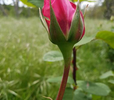 Casa indipendente in vendita a Mendicino (Cosenza), Località Rizzuto 7