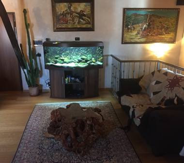 Appartamento in vendita a Vigone (Torino)