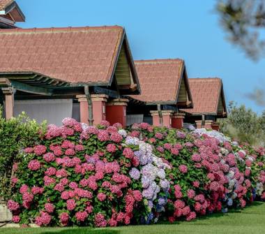 Offerta Vacanze Residence a Montalto di Castro, Frazione Montalto Marina, SP46 4