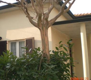 Affitto Casa Vacanze a Cervia (Ravenna), Viale Caprera 4