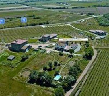 Rustico/Casale in vendita a Roccastrada, Frazione Ribolla, Loc. Colle Muccaia 6