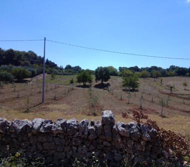 Terreno Edificabile Residenziale in vendita a Martina Franca (Taranto), Strada Provinciale 66 1