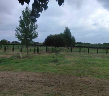 Terreno Agricolo/Coltura in vendita a San Giuliano Terme, Frazione Arena Metato