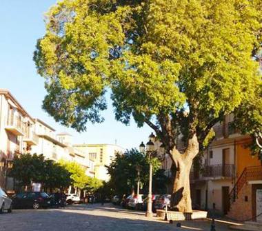 Casa indipendente in vendita a Sant'Andrea Apostolo dello Ionio (Catanzaro)