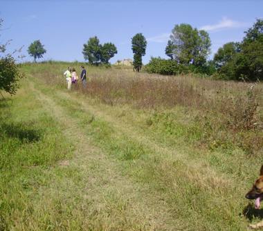 Terreno Agricolo/Coltura in vendita a San Martino Valle Caudina (Avellino)