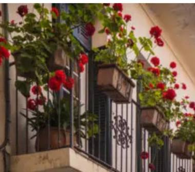 Affitto Stanza Singola a Ciampino (Roma), Via IV Novembre 97