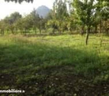 Terreno Agricolo/Coltura in vendita a Nocera Superiore, Frazione La Starza