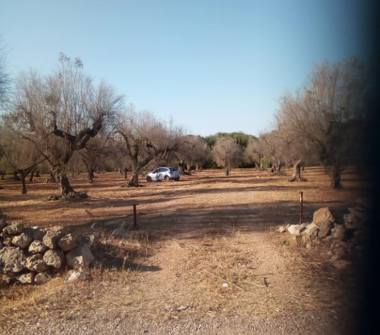 Terreno Agricolo/Coltura in vendita a Ugento, Frazione Gemini