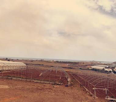 Terreno Agricolo/Coltura in vendita a Pachino (Siracusa)