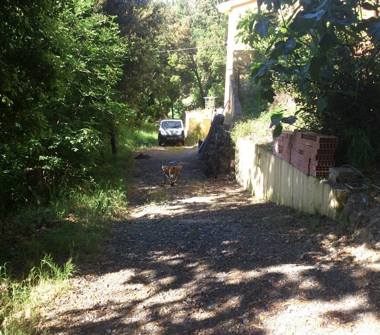 Casa indipendente in vendita a Santa Luce (Pisa)