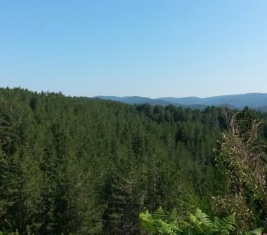 Villetta a schiera in vendita a Albi (Catanzaro), Località Pietra Bianca .
