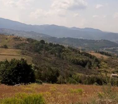 Terreno Agricolo/Coltura in vendita a Pignola (Potenza), Contrada Piancardillo