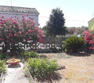 Affitto Appartamento Vacanze a Mondolfo (Pesaro e Urbino), Via Pergolese 190