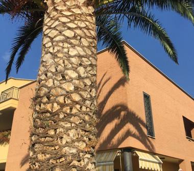 Villa in vendita a Roma, Zona Borghesiana