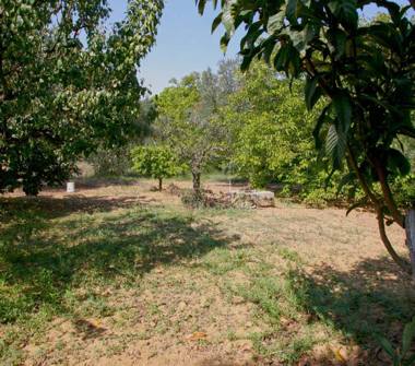 Terreno Agricolo/Coltura in vendita a Gallipoli (Lecce)
