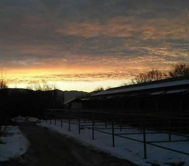 Rustico/Casale in vendita a Sedico, Frazione Bribano