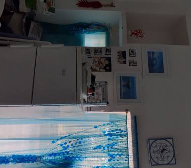 Monolocale in vendita a Procida (Napoli), Via Flavio Gioia 57