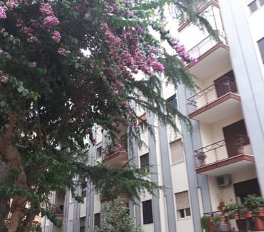 Altro in affitto a Bari, Zona Poggiofranco, Via Cardinale Marcello Mimmi 9