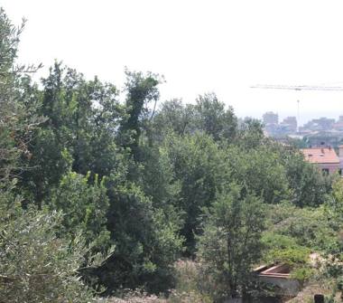 Quadrilocale in vendita a Borghetto Santo Spirito (Savona)