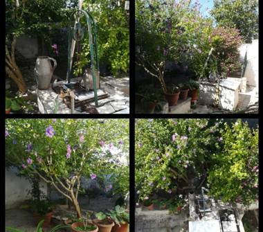 Quadrilocale in vendita a Calimera (Lecce), Via Tenente Donato Tommasi 41