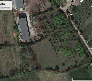 Terreno Agricolo/Coltura in vendita a Bugnara (L'Aquila)