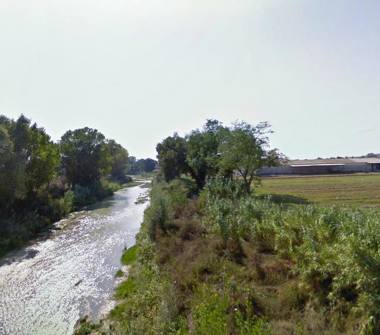 Terreno Agricolo/Coltura in vendita a Castelfidardo (Ancona)