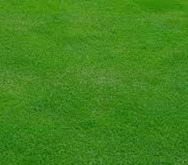 Altro in vendita a Lecco (Lecco)