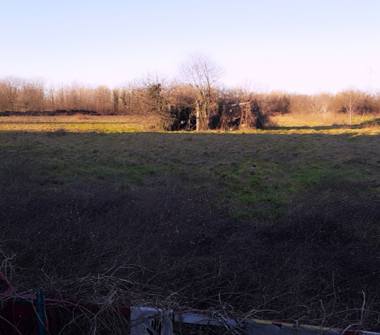 Terreno Agricolo/Coltura in affitto a Vimodrone (Milano), Via Michelangelo Buonarroti 90