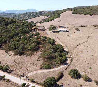 Terreno Agricolo/Coltura in vendita a Alghero (Sassari)