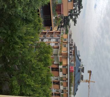 Affitto Stanza Singola a Roma, Zona Romanina