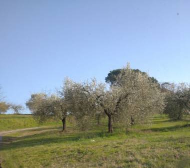 Rustico/Casale in vendita a Mazzano Romano (Roma), Strada Vallelunga le Rote 6