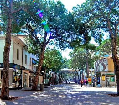 Affitto Appartamento Vacanze a Riccione (Rimini)