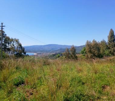 Terreno Edificabile Residenziale in vendita a Stalettì (Catanzaro)