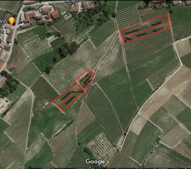 Terreno Agricolo/Coltura in vendita a Costigliole d'Asti (Asti)