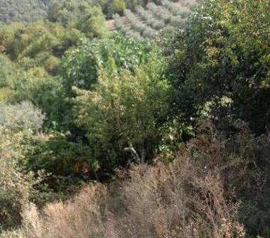 Trilocale in vendita a Talla, Frazione Faltona, Via del Castello 6