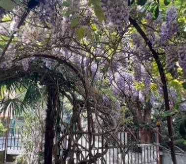 Bilocale in affitto a Verona, Zona Borgo Trento, Via Monte Cimone 3