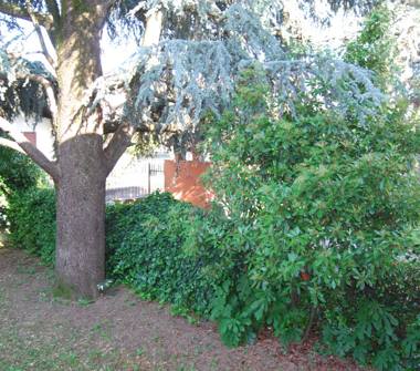 Bilocale in affitto a Capriate San Gervasio (Bergamo)