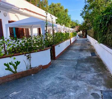 Affitto Casa Vacanze a Centola, Frazione Palinuro