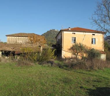 Terreno Agricolo/Coltura in vendita a Castro dei Volsci (Frosinone), SR637 56